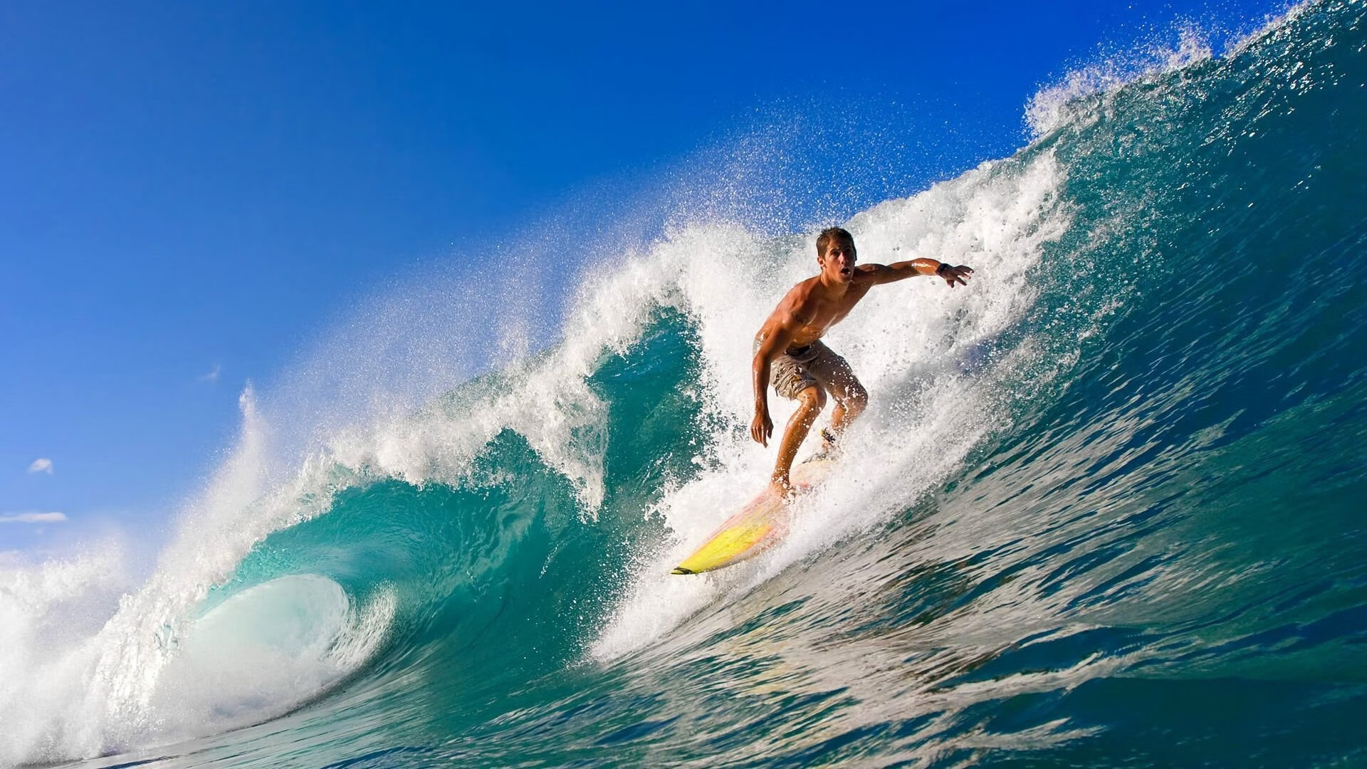 法甲巅峰对决：攻守兼备的极致体验，法甲排位